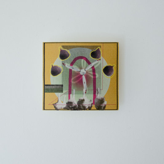 Household Figues